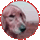 bobby