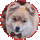 kuma1