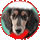 coo