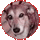 duri