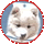 kuma2